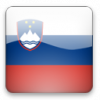 SLOVENŠČINA